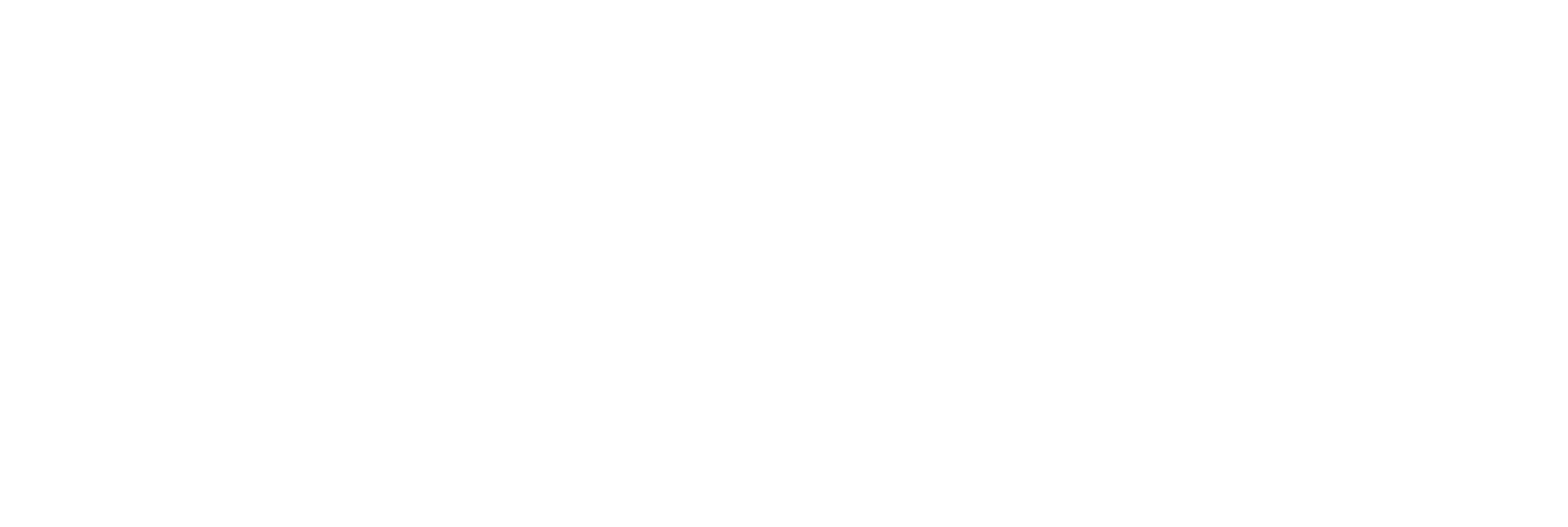 Nybro Discgolfklubb